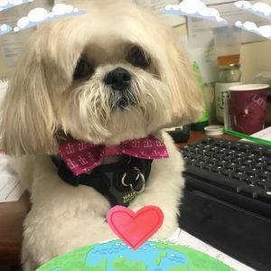 Meet your Posher, Jun